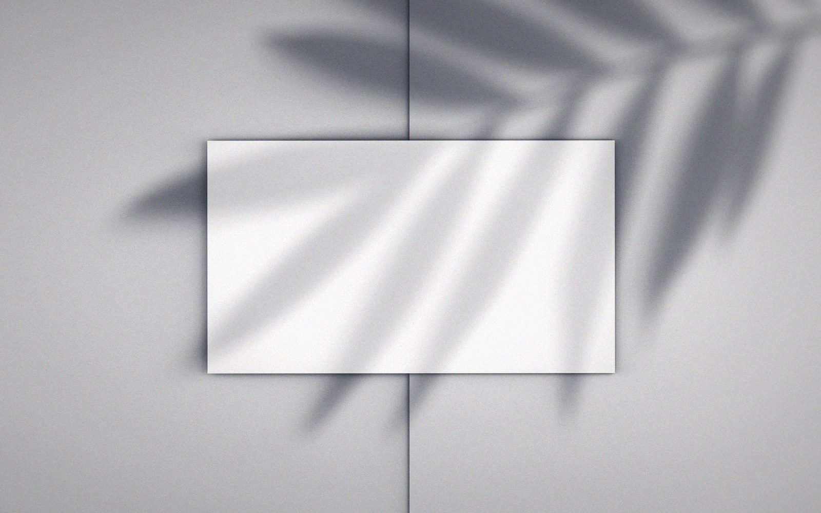 Blank white rectangle on a wall with a palm leaf shadow cast across it