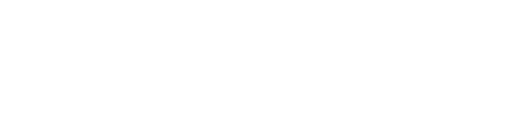 Raging Stallion